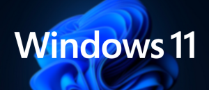 UnlockTool for Windows 11